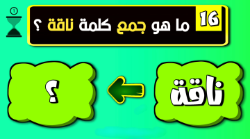 سؤال حير الطلاب كلها.. ما هو جمع كلمة ناقة في اللغة العربية التي يبحث عنها الملايين؟