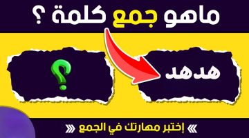 أتحداك انك تعرف الإجابة الصح.. هل تعرف جمع كلمة “هدهد” في اللغة العربية؟.. للأذكياء فقط