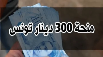 حقيقة زيادة منحة تونس 300 دينار