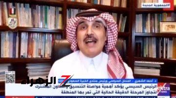 رئيس منتدى الخبرة السعودى: مصر والسعودية تمثلان كفتى ميزان آسيا وإفريقيا