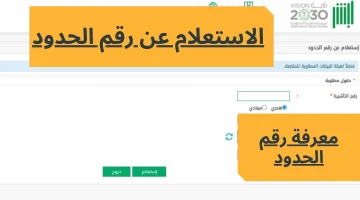 خطوات الاستعلام عن رقم الحدود للمقيمين في المملكة السعودية 1446 وصلاحية الإقامة