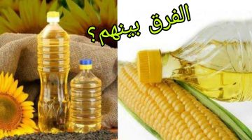 أيهما أكثر فائدة.. زيت الذرة أم زيت عباد الشمس؟ لن تتوقع!