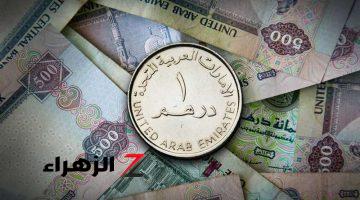 سعر الدرهم الإماراتي أمام الجنيه المصري اليوم الجمعة 11 أكتوبر 2024