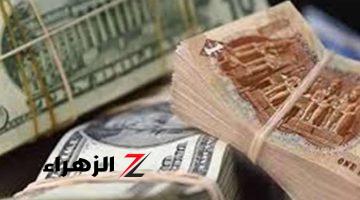 سعر الدولار أمام الجنيه اليوم الثلاثاء 15 أكتوبر 2024