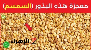 «دكتور امريكي قالي عليه»!!.. فوائد السمسم للجسم مستحيل حد كان يتخيل فوائده كنز موجود في بيتك..يارتني كنت عرفتها من زمان!!