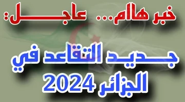 اعــرف السن الجديد والشروط المطلوبة.. تعديل سن التقاعد في الجزائر 2024 بعد اللوائح الجديدة بقرار رسمي من وزارة المالية