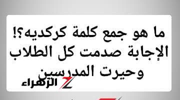 اوائل الطلبة معرفتش تحلها!!.. لن تصدق ما هو الجمع الصحيح لكلمة كركديه التي أبكت الطلاب وحيرت المعلمين؟! .. الإجابة غير متوقعة من أستاذ خبير