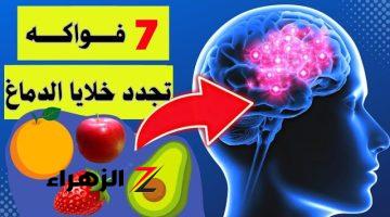 “عشبة سحرية في مطبخك.. هتقوي ذاكرتك وتخليك تنسى الزهايمر حتى لو عندك 90 سنة”