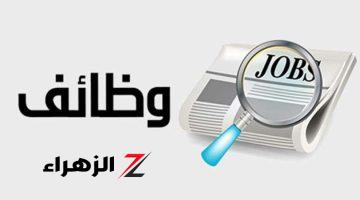 فرص عمل برواتب تصل إلى 11 ألف جنيه شهريًا.. وزارة الشباب تعلن عن وظائف حتى سن 45 عامًا