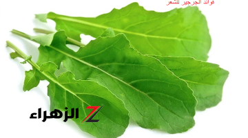 العشبة السحرية في منزلك.. سر القوة الخارقة والحيوية لكل رجل