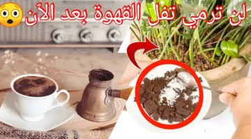 هتندم لو كنت بترميه.. استخدامات مذهلة لتفل القهوة هتفيدك في حياتك اليومية وتخلي صحتك بومب