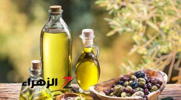 زيت الزيتون: سر الجمال الطبيعي لعلاج الشعر التالف وتعزيز صحة خلايا المخ للرجال والنساء!