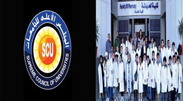 سنة الامتياز لطلاب صيدلة.. قرار عاجل وهام من المجلس الأعلى للجامعات