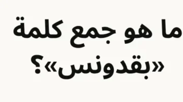 «سؤال للعباقرة فقط..!!» ما هو جمع كلمة بقدونس في اللغة العربية السؤال الذي طير عقول الطلاب من التفكير ودكتور جامعي يكشف ما هي الاجابة الصحيحة.. لن تخطر على بالك..!!