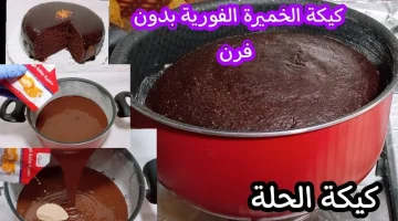 حضري كيكة المدرسة بدون فرن!!.. طريقة تحضير كيكة الحلة بالخميرة الفورية!! اعمليها في 10 دقائق بس هتاكلي أحلى وأسرع كيك!!