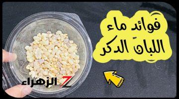 “كانت فين المعجزة دي يا مصريين..!!” تناول منقوع لبان الذكر على الريق لمدة 7 أيام فقط ولن تصدق ما سيحدث لجسمك..!!