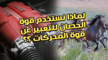 ضاع عمرنا واحنا منعرفش.. ما سر قياس قوة المحركات بـ الحصان| حقائق تدهشك