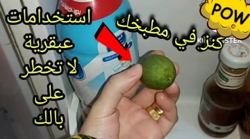 عندك ليمونة ناشفه فى الثلاجه اوعى ترميها دى كنز في مطبخك.. تعالي اقولك على فكرة عبقرية هتكسبي منه دهب