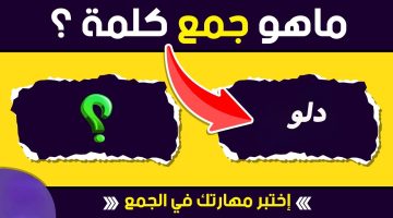 حيرت 99% من الطلاب .. ما هو جمع كلمة “دلو” في اللغة العربية؟.. اتحداك لو وصلت للحل