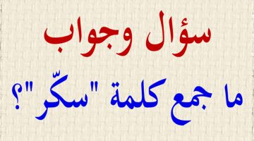 «سببت رسوب 1000 طالب..!!» ما هو جمع كلمة سكر في اللغة العربية ومعلم يجيب الاجابة الصحيحة.. ما تخطرش على بال حد..!!