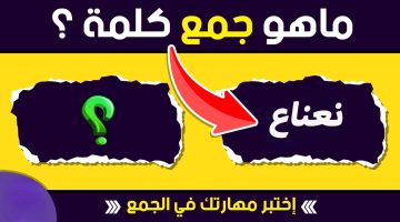 حيرت طلاب ومدرسين.. ما هو جمع كلمة نعناع في اللغة العربية؟ 1% بس اللي عارفين الإجابة