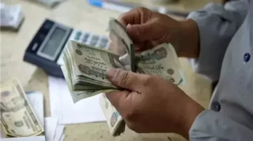 ماذا عن زيادة المعاشات في شهر نوفمبر؟.. حقيقة زيادة معاشات شهر نوفمبر وسر الخبر