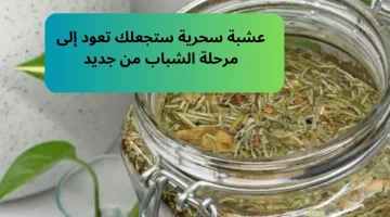 سر رهيب لازم تعرفوه.. عشبة سحرية ستجعلك تعود إلى مرحلة الشباب من جديد