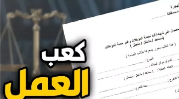 مش مطلوب خبرة فرصنا تعلن عن توفير ٥٠ وظيفة بمزايا حصرية ومرتبات مجزية للشباب الحق حضر ورقك