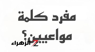 حيرت ملايين الطلاب .. ما هو مفرد كلمة “مواعين” في اللغة العربية التي أثارت الجدل؟.. ورينا شطارتك