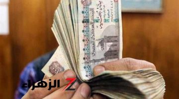 زيادة المعاشات بنسبة 15% يناير المقبل.. بيان عاجل من الحكومة