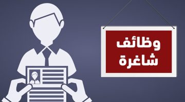 مرتبات تبدأ من 8500 جنيه.. وظائف شاغرة في مشروع رأس الحكمة لجميع المؤهلات| إلحق قدم