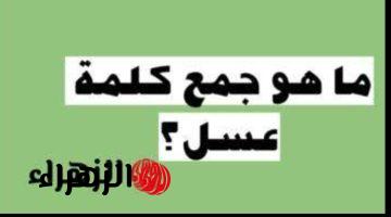 “سؤال ابكي الجميع!”.. ما هو جمع كلمة “عسل” في اللغة العربية التي حيرت الطلاب المعلمين؟؟ .. الإجابة عمرها ماخطرت على بالك !!!