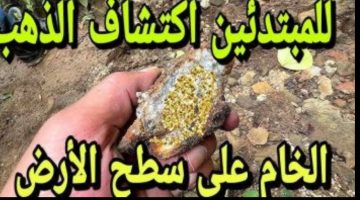 لو لقيته فأنت من المحظوظين!! كنز مدفون في التراب الحق دور عليه بسرعه..!!!