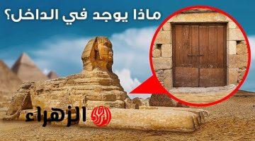 ولا كانت تخطر ع البال في يوم من الايام…. كنز أسفل تمثال أبوالهول.. وعالمة آثار بريطانية تكشف أسرار جديدة!