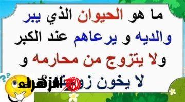 معجزة ربانية أذهلت العالم .. حيوان خطير يعيش في الصحراء لا يتزوج إلا مرة واحدة ويبر والديه أكثر من البشر .. لن تصدق من يكون؟؟