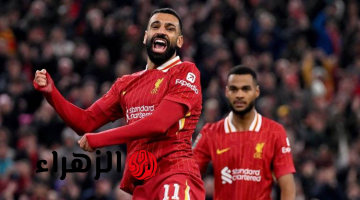 موعد مباراة ليفربول أمام برايتون بالدوري الإنجليزي والقنوات الناقلة