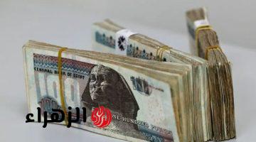 مبروك  مفيش تعويم الجنيه في مصر خلاص  .. الحكومة تفرح المصريين بقرارات  جديدة وتحسم مصير أسعار السلع  ماذا ينتظر المواطنين ؟