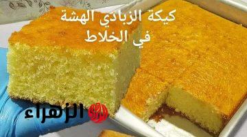 حضري كيكة الزبادي الهشة في الخلاط بخطوات سهلة وبمكونات اقتصادية