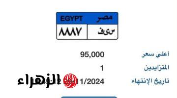 “ن و ر ” و”س ى ف” .. الإعلان عن أحدث لوحات مميزة بالمزاد بسعر 95 ألف جنيه