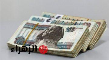 الحق دورك في الطابور : بنوك تتنافس لطرح أقوي شهادات الادخار بعد قرار سعر الفائدة فرصه تكسب عائد ضخم ” زود دخلك”