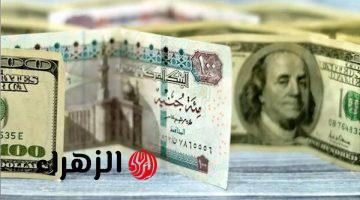 1000 دولار كم جنيه مصري؟.. سعر الدولار اليوم مقابل الجنيه المصري في البنوك والسوق السوداء: ارتفاع ملحوظ بنهاية تعاملات الثلاثاء 27 نوفمبر 2024