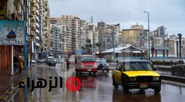 «الشتاء داخل بتقله على الأسكندرية».. أستعدادات مدينة الأسكندرية لشتاء ٢٠٢٤ وتحذير للمواطنين.. اعرف مواعيد النوات وأمن نفسك!!