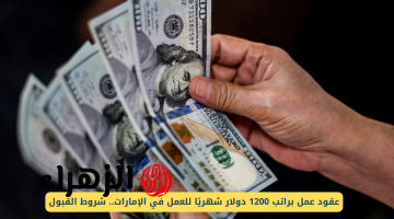 فرصة العمر للشباب..برنامج تدريب داخلي براتب 1200 دولار انضم لIRENA وابدأ مشوارك في الطاقة المتجددة!