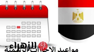 هتأجز كام يوم يابن المحظوظة!!.. عدد أيام الإجازات الرسمية في المدارس والجامعات خلال عام 2025| اعرفها الآن!