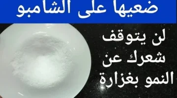 “اختراع بسيط اعاد الأمل للطلع والفراغات!!”.. ضعيها علي الشامبو لتطويل شعرك بسرعة هيوصل لكعب رجلك وهتوقف التساقط وتنمو الفراغات من الاخر مذهلة!!؟