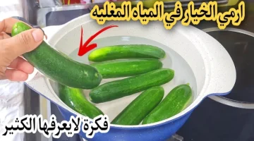 خليكي ست بيت لهلوبة وشاطرة.. حطي الخيار في المياه المغلية وشوفي النتيجة طلع اختراع هتقولي يارتنى جربته من زمان مشهتشترتانى!!