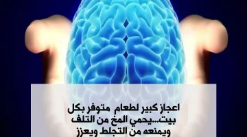 «مفعولها سحري».. هقولك على طعام متوفر في البيت عندك يحمي المخ من التلف ويقوي الذاكرة!!!