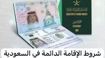 فرصة كبيرة لا تعوض.. طريقة تحويل الزيارة العائلية إلى الإقامة الدائمة الآن ممكن بتلك الشروط الجديدة.. تفاصيل