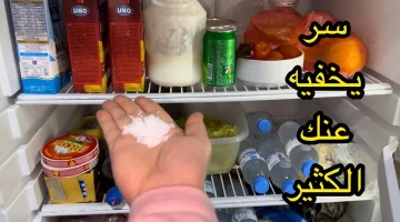 فكرة تساوي ملايين.. حيله عبقرية أخبرني بها فني تصليح الثلاجات ضعي الملح في الثلاجة وستندهشي من النتيجة..!