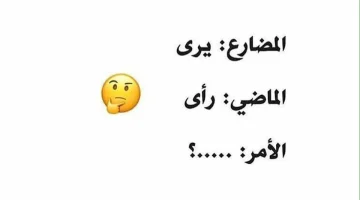 «تبقى عبقري لو عرفتها!!».. ما فعل الأمر من “يرى”؟ لغز حير الجميع |خبير لغوي يكشف الإجابة الصادمة!!